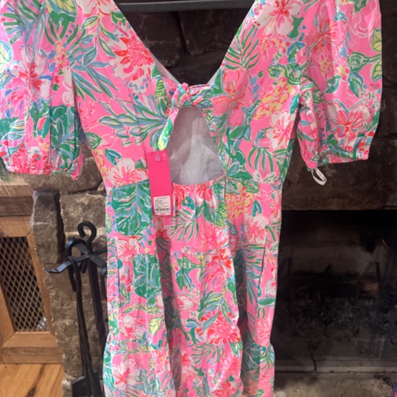 Lilly Dress - Picture 3 of 5